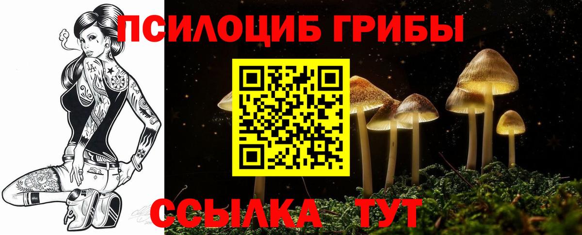 Псилоцибиновые грибы ЛСД Томск